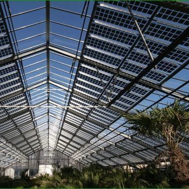 Serre fotovoltaica commerciale con materiale di copertura a pellicola e riscaldamento non riscaldato