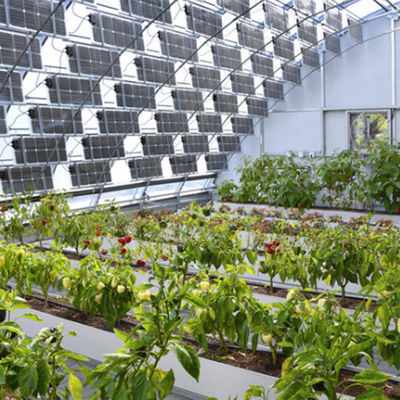 Sistema fotovoltaico a pellicola di plastica PE/Po per serre commerciale per agricoltura sostenibile