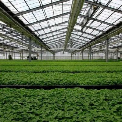 Sistema fotovoltaico a pellicola di plastica PE/Po per serre commerciale per agricoltura sostenibile