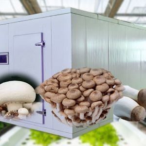 Contenitore di spedizione serra per la coltivazione di funghi in progettazione intelligente JX-CG-0001