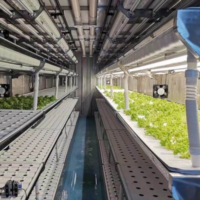 Contenitore di spedizione serra per la coltivazione di funghi in progettazione intelligente JX-CG-0001