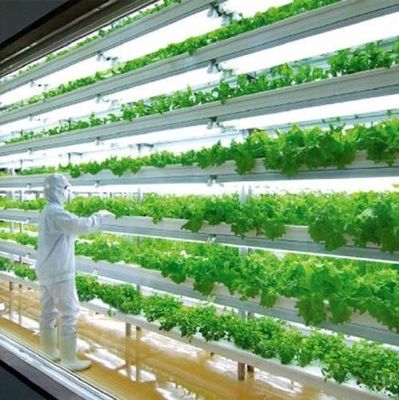 Contenitore di spedizione serra per la coltivazione di funghi in progettazione intelligente JX-CG-0001