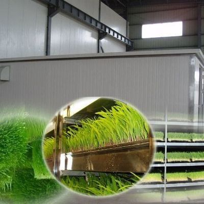 Foraggio in contenitore multifunzionale per la coltivazione a doppio strato di fiori/verdure/sementi