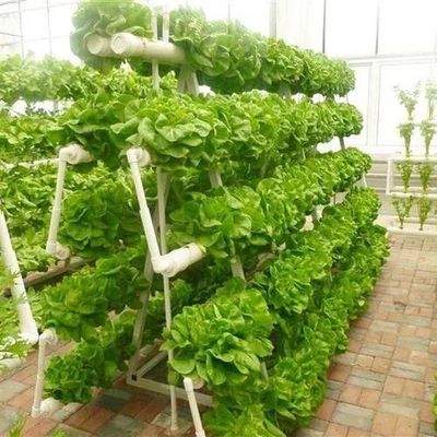 Struttura in acciaio contenitore agricolo verticale serra con sistema idroponico multi-span