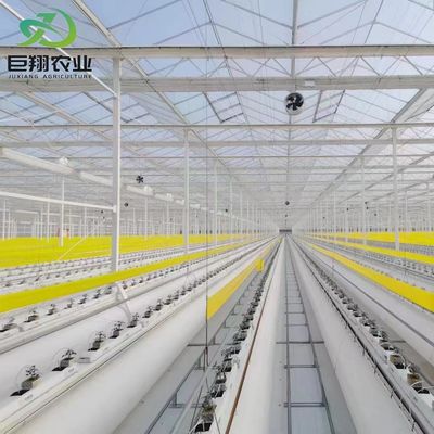 Struttura in acciaio contenitore agricolo verticale serra con sistema idroponico multi-span