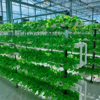 Struttura in acciaio contenitore agricolo verticale serra con sistema idroponico multi-span
