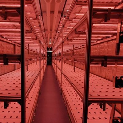 Agricoltura in contenitore con sistema idroponico adatta alla coltivazione di ortaggi, frutta e fiori