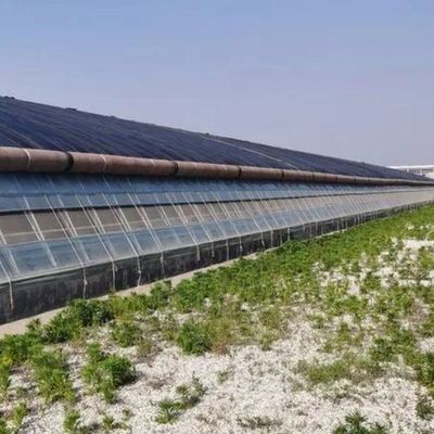 Dipartimento delle serre in plastica Serre commerciale Po/PE multi-span con idroponica