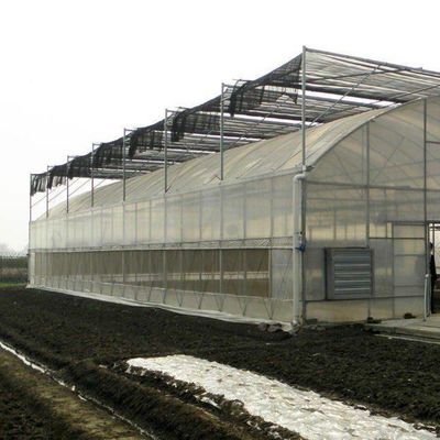 Dipartimento delle serre in plastica Serre commerciale Po/PE multi-span con idroponica
