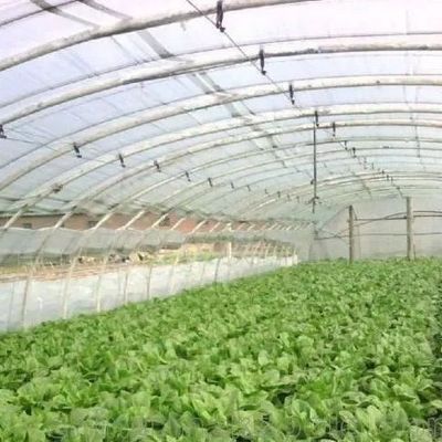 Dipartimento delle serre in plastica Serre commerciale Po/PE multi-span con idroponica