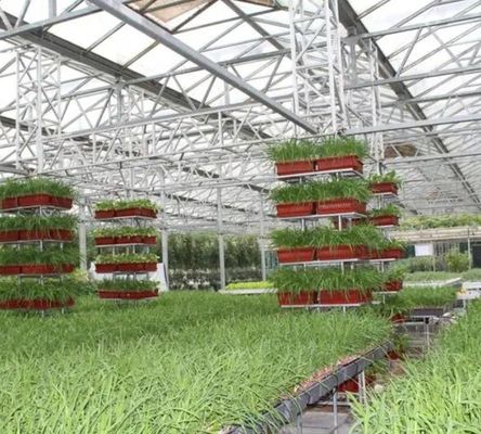 Serra a pellicola di controllo dell'umidità multi-span per verdure ottimizzare la crescita delle verdure
