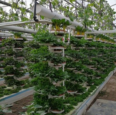 Serra idroponica a pellicola Po/PE per verdure a doppio strato