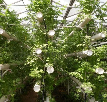 Sistema di serra a pellicola commerciale a doppio strato per la gestione dell'umidità nelle serre