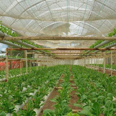 Sistema di serra a pellicola commerciale a doppio strato per la gestione dell'umidità nelle serre