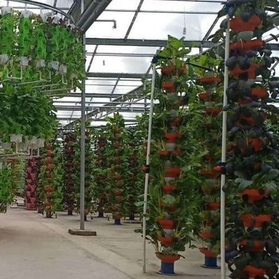 Serra adatta alla coltivazione di sementi e a un budget adeguato con rivestimento in pellicola