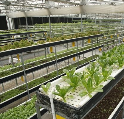 Tecnologia senza suolo e riscaldamento temporaneo