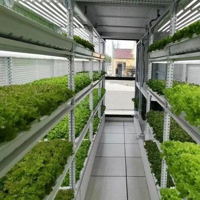 Serre agricole multi-span Sala di allevamento dell'orzo per ortaggi frutti fiori