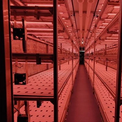 Serre agricole multi-span Sala di allevamento dell'orzo per ortaggi frutti fiori