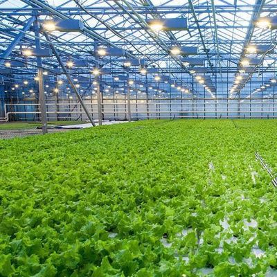Progettazione di serre a pellicola di coltura senza suolo per verdure e metodo di riscaldamento temporaneo