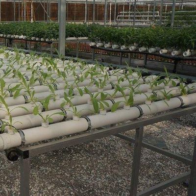 Progettazione di serre a pellicola di coltura senza suolo per verdure e metodo di riscaldamento temporaneo