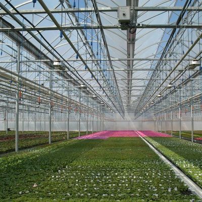 Progettazione di serre a pellicola di coltura senza suolo per verdure e metodo di riscaldamento temporaneo
