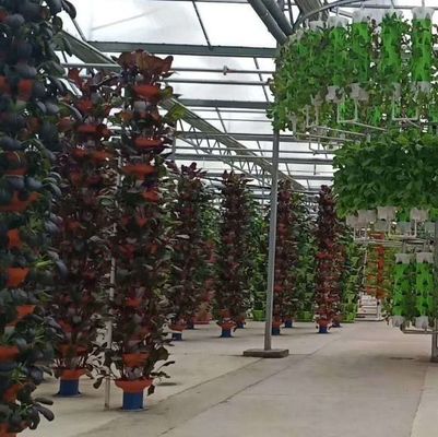 Dipartimento economico Serra di plastica con idroponica e riscaldamento temporaneo
