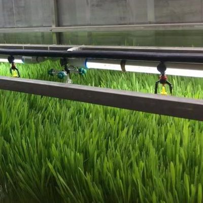Sistema di coltivazione commerciale di microgreene per la coltivazione idroponica in ambienti chiusi con serra in contenitore JX