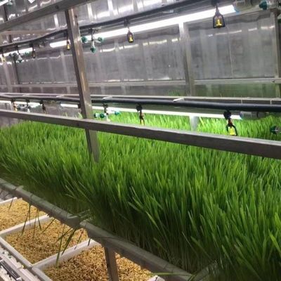 Soluzione idroponica di mangimi e ortaggi frutta fiori per serre in contenitore JX