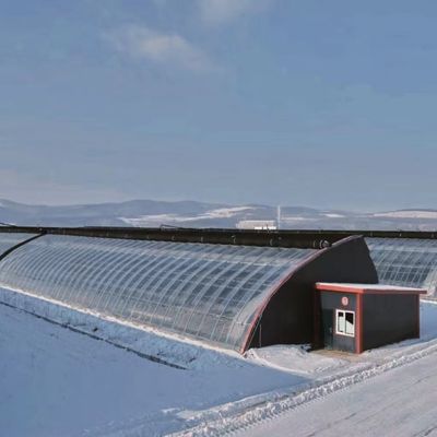 Tetti ad arco Acquicoltura Film vegetale Luce solare Serra per fiore di fragole USA