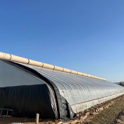 Tetti ad arco Acquicoltura Film vegetale Luce solare Serra per fiore di fragole USA