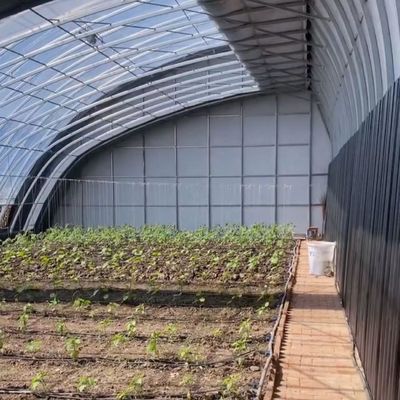 Tetti ad arco Acquicoltura Film vegetale Luce solare Serra per fiore di fragole USA