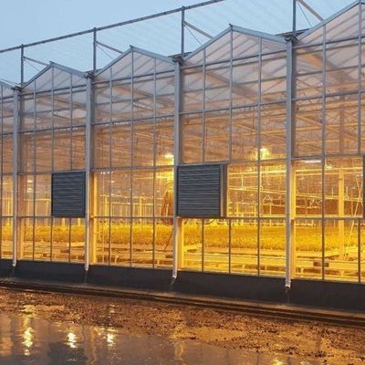 Sistema di illuminazione per serre in contenitore Pacchetto Peso lordo 2000.000kg Valuta US