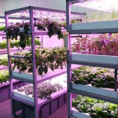 Sistema di illuminazione per serre in contenitore Pacchetto Peso lordo 2000.000kg Valuta US