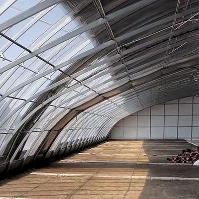 Serra multi-span per un impianto ottimale con irrigazione a goccia e luce solare inclusa