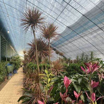 Sistema di serra idroponica a pellicola vegetale personalizzabile per efficienza multi-span
