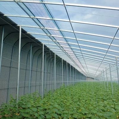 Serre acquaponica a tetto ad arco per l'irrigazione e la piantagione di fiori
