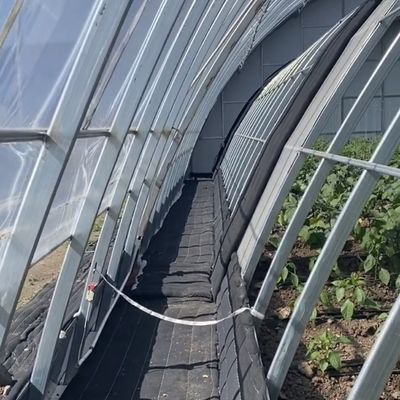 Struttura in acciaio Sistema di irrigazione a goccia per le piantagioni di fiori con rimborsi di 30 giorni