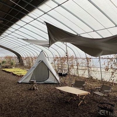 Esperienza dei benefici della fiore Inserta solare