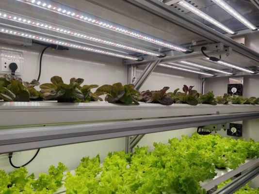 Casa contenitore per la coltivazione di verdure a foglia doppio strato e in forma di tetto prestazioni