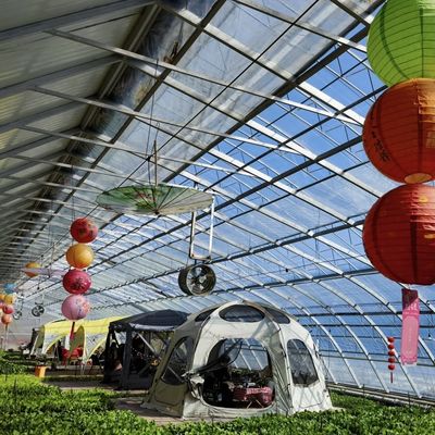 Serre a tetto ad arco per la luce solare Acquicoltura Piantare fiori Produzione di ortaggi