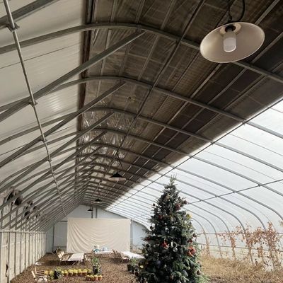 Acquaponica Piantagione di fiori Irrigazione di spuma Vegetale Luce solare Serra per uso commerciale