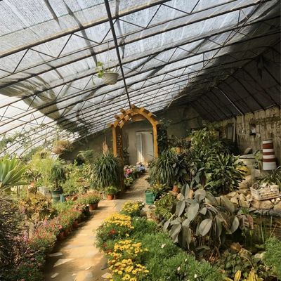 Pacchetto Peso lordo 100.000 kg Serra idroponica a fiore di fragole con rivestimento a pellicola