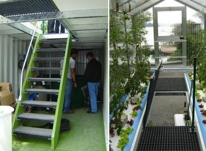 Serra per contenitori di verdure a foglia con copertura multi-spano e forma di tetto a forma