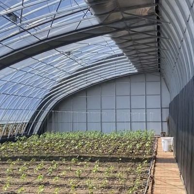 Acquaponica commerciale Serra per la luce solare Irrigazione di spargimento Produzione vegetale