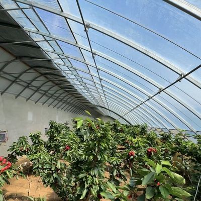 100.000kg Personalizzazione Piantagione di fiori Irrigazione a goccia Verdure Inserimento a luce solare