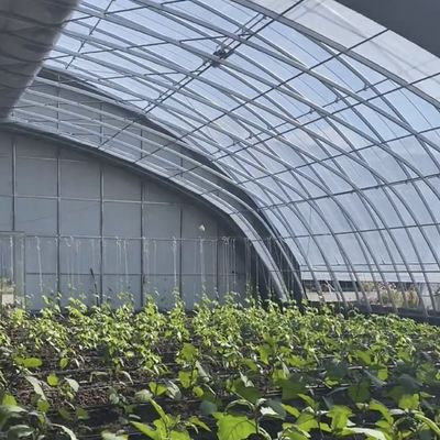 100.000kg Personalizzazione Piantagione di fiori Irrigazione a goccia Verdure Inserimento a luce solare