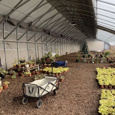 100.000kg Personalizzazione Piantagione di fiori Irrigazione a goccia Verdure Inserimento a luce solare
