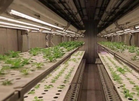 Controllo intelligente della temperatura Juxiang Container per verdure a foglia Metodo di riscaldamento della casa