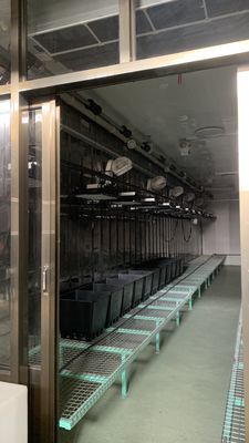 Controllo intelligente della temperatura Juxiang Container per verdure a foglia Metodo di riscaldamento della casa
