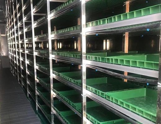 Controllo intelligente della temperatura Juxiang Container per verdure a foglia Metodo di riscaldamento della casa